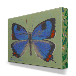 Colorado Hairstreak Butterfly - Metal Box Art Metal Box Wall Art Shelle Lindholm