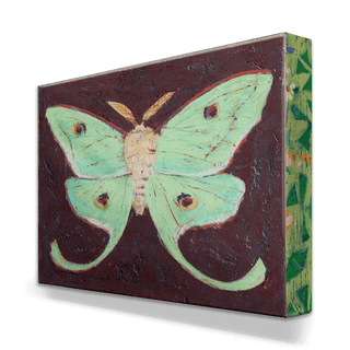 Luna Moth - Metal Box Art Metal Box Wall Art Shelle Lindholm