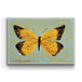 Orange Sulpher