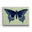 Black Swallowtail