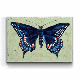 Black Swallowtail Butterfly - Metal Box Art Metal Box Wall Art Shelle Lindholm
