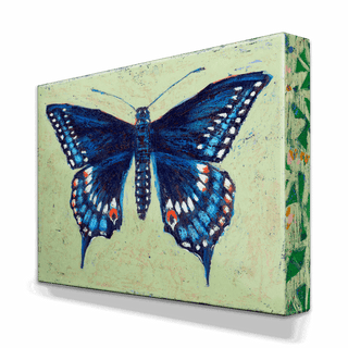 Black Swallowtail Butterfly - Metal Box Art Metal Box Wall Art Shelle Lindholm