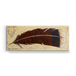 Right Feather