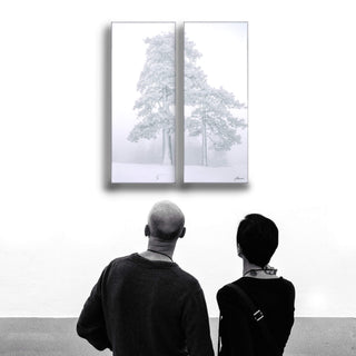 Sequoias in the Snow: 2-Piece Metal Box Art Metal Box Wall Art John Lichtwardt