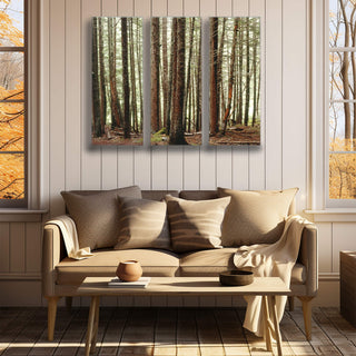 Trail of the Cedars: 3-Piece Metal Box Art Metal Box Wall Art John Lichtwardt