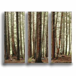 Trail of the Cedars: 3-Piece Metal Box Art Metal Box Wall Art John Lichtwardt