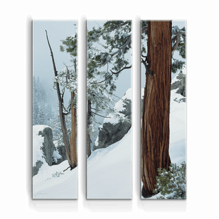 Cedars in the Snow: 3-Piece Metal Box Art Metal Box Wall Art John Lichtwardt