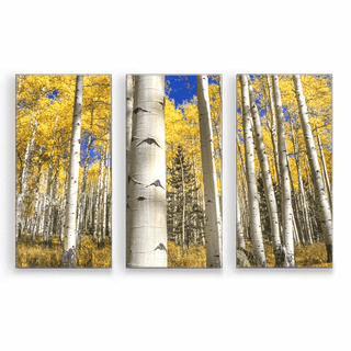 Aspens in Autumn: 3-Piece Metal Box Art Metal Box Wall Art John Lichtwardt