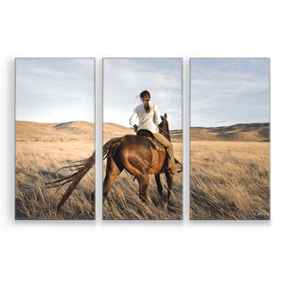 Cowgirl: 3-Piece Metal Box Art Metal Box Wall Art John Lichtwardt