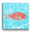 Solo Red Snapper