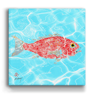Solo Red Snapper - Metal Box Art Metal Box Wall Art FishAye Trading Company
