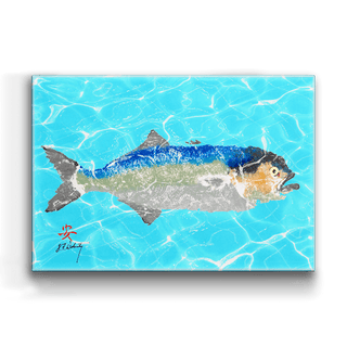 Solo Bluefish - Metal Box Art Metal Box Wall Art FishAye Trading Company