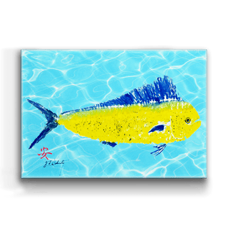 Solo Mahimahi - Metal Box Art Metal Box Wall Art FishAye Trading Company