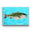 Solo Striped Bass
