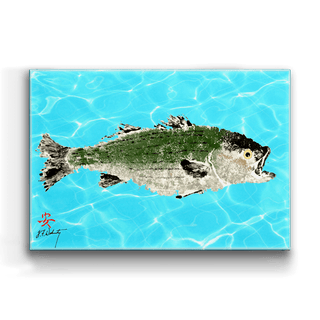 Solo Striped Bass - Metal Box Art Metal Box Wall Art FishAye Trading Company