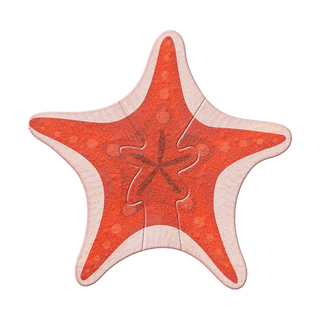 Coastal Starfish - Wood Wall Art Shaped Wall Art Meissenburg Designs Wood 40" x 40" Coral
