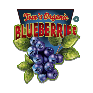 Garden Cutouts: Blueberries - Decorative Plaque Shaped Wall Art Meissenburg Designs
