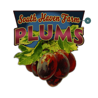 Garden Cutouts: Plums - Decorative Plaque Shaped Wall Art Meissenburg Designs