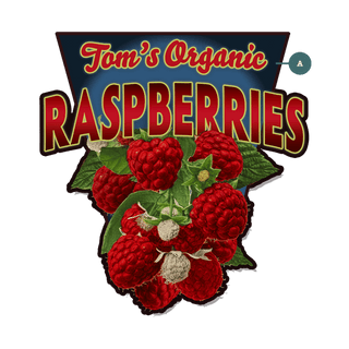 Garden Cutouts: Raspberries - Decorative Plaque Shaped Wall Art Meissenburg Designs