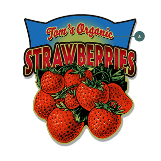 Garden Cutouts: Strawberries - Decorative Plaque Shaped Wall Art Meissenburg Designs