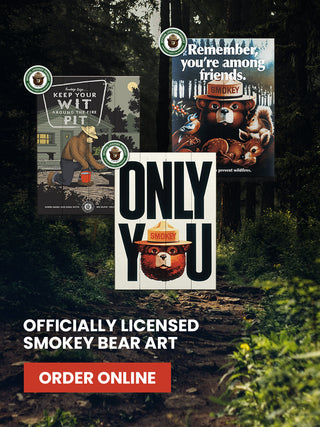 officially licensed smokey bear art