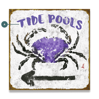 Tide Pools - Wood & Metal Wall Art Wood & Metal Wall Art FishAye Trading Company