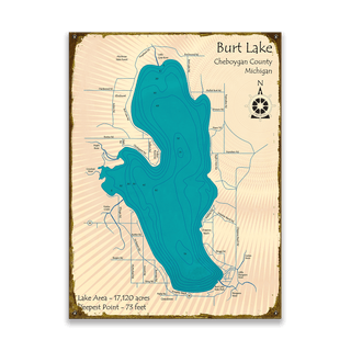 Burt Lake, Michigan - Wood & Metal Wall Art Wood & Metal Wall Art Lake Art Metal 17" x 23"