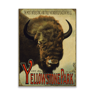 Yellowstone Bison Wildlife Design - Wood & Metal Wall Art Wood & Metal Wall Art Meissenburg Designs Metal 9" x 12"