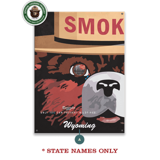 Smokey Bear 2007 Smokey Poster: Personalized - Wood & Metal Wall Art Wood & Metal Wall Art Smokey Bear Metal 9" x 12"