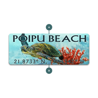 A Sea Turtle's Adventure: Personalized - Souvenirs & Gifts