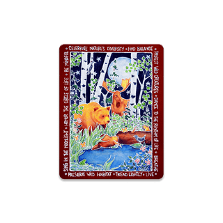 Celebrate Nature's Diversity - Souvenirs & Gifts Souvenirs & Gifts Karen Savory