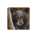 Bear 1 - Souvenirs