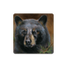 Bear 2 - Souvenirs