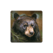 Bear 3 - Souvenirs