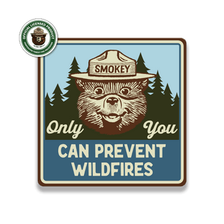 Smokey Bear Only You Classic - Souvenirs & Gifts Souvenirs & Gifts Smokey Bear Wood Magnet (Pack of 6) 2.75" Square