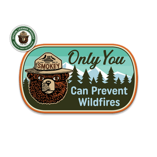 Smokey Bear Only You Oval - Souvenirs & Gifts Souvenirs & Gifts Smokey Bear Wood Magnet (Pack of 6) 3.7" x 2.2"