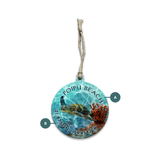 A Sea Turtle's Adventure: Personalized - Souvenirs & Gifts