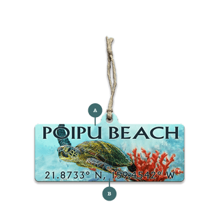 A Sea Turtle's Adventure: Personalized - Souvenirs & Gifts