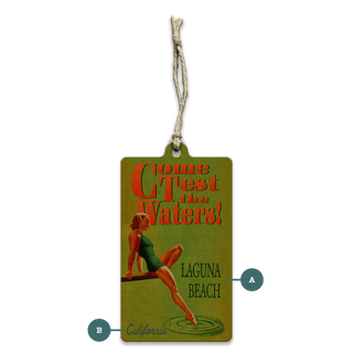 Test the Waters: Dip Your Toe in Green - Souvenirs & Gifts Souvenirs & Gifts Meissenburg Designs Wood Ornament (Pack of 12) 2.4" x 4"
