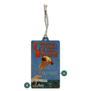 Test the Waters: Take the Plunge - Souvenirs & Gifts Souvenirs & Gifts Meissenburg Designs Wood Ornament (Pack of 12) 2.4" x 4"