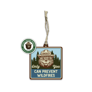 Smokey Bear Only You Classic - Souvenirs & Gifts Souvenirs & Gifts Smokey Bear Wood Ornament (Pack of 6) 3.125" Square