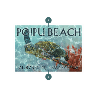 A Sea Turtle's Adventure: Personalized - Souvenirs & Gifts