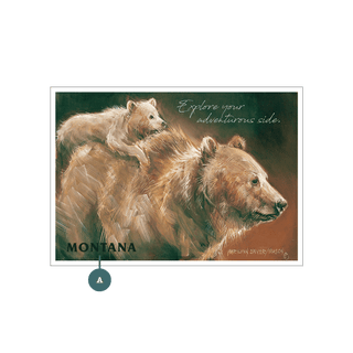 Mama Bear and Cub - Souvenirs & Gifts Souvenirs & Gifts Marilynn Dwyer Mason