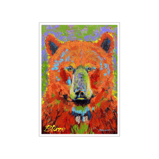 Blaze - Souvenirs & Gifts Souvenirs & Gifts Shelle Lindholm