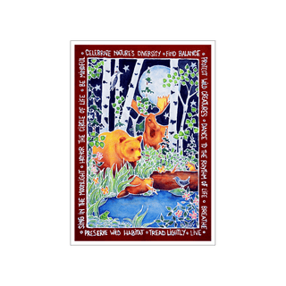 Celebrate Nature's Diversity - Souvenirs & Gifts Souvenirs & Gifts Karen Savory