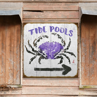 Tide Pools - Wood & Metal Wall Art Wood & Metal Wall Art FishAye Trading Company