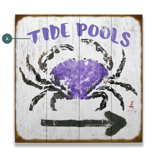 Tide Pools - Wood & Metal Wall Art Wood & Metal Wall Art FishAye Trading Company Wood 18" x 18" Right