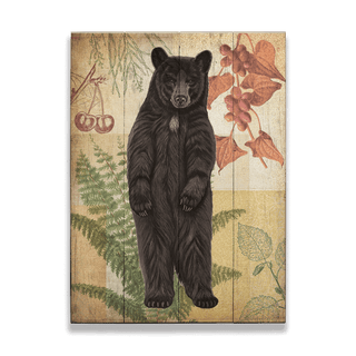 Wildwood Fern Bear - Wood & Metal Wall Art Wood & Metal Wall Art Meissenburg Designs Wood 9" x 12"