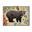 Berry Bear - Wood & Metal Wall Art