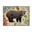 Berry Bear - Wood & Metal Wall Art